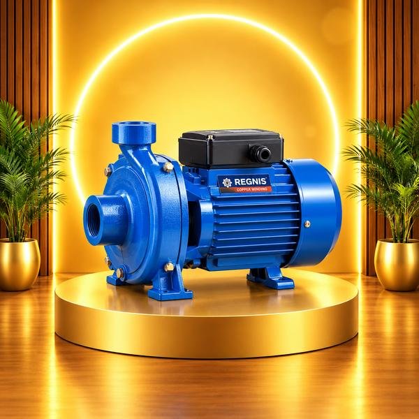 REGNIS Clean Water Pump